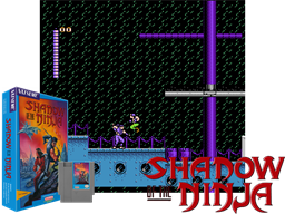 Shadow of the Ninja